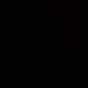 Meet your Posher, Bryce